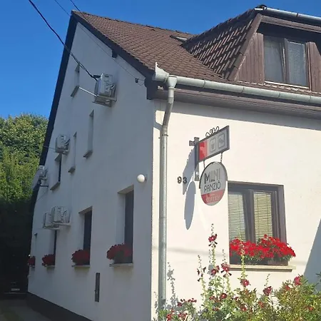 Mini Panzio 게스트하우스