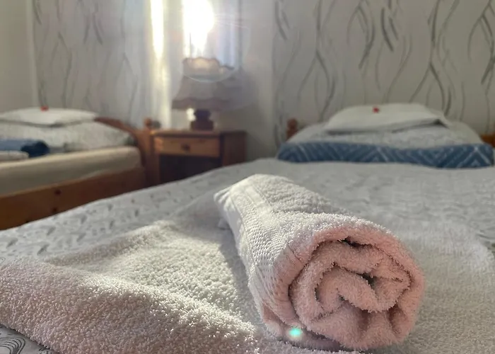 Mini Panzio 招待所