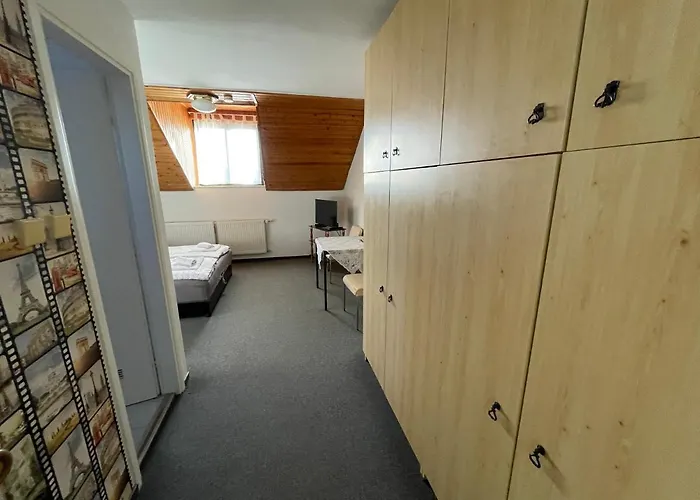 Mini Panzio 招待所 瑙吉考尼饶