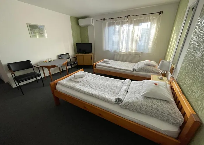 招待所 Mini Panzio 3*