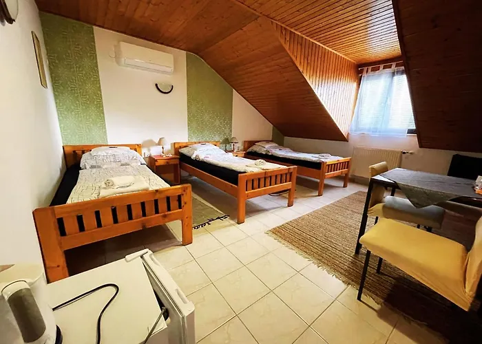 בית הארחה Mini Panzio