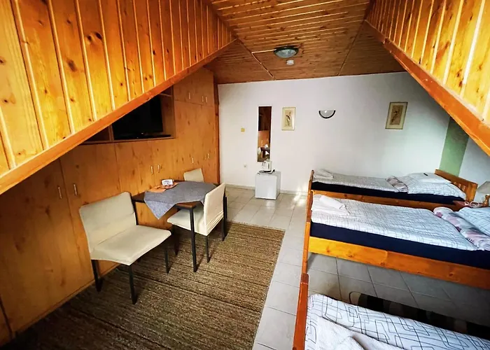 בית הארחה Mini Panzio נג'קניז'ה